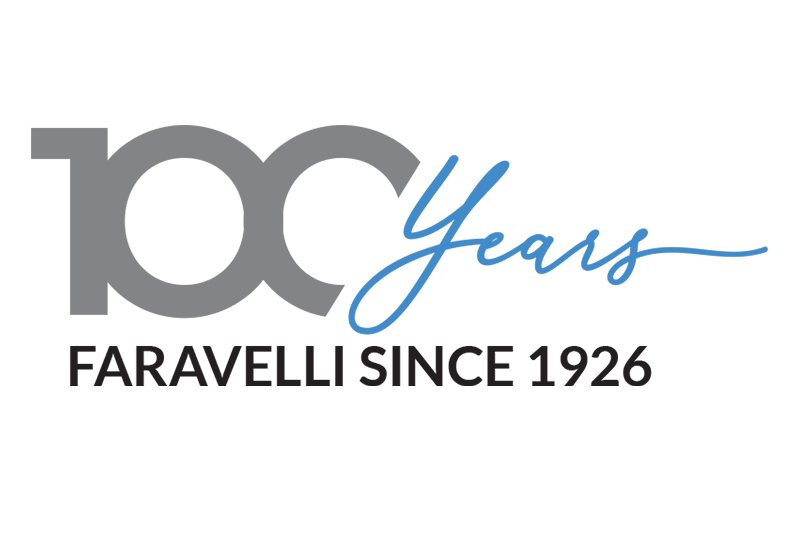 logo 100